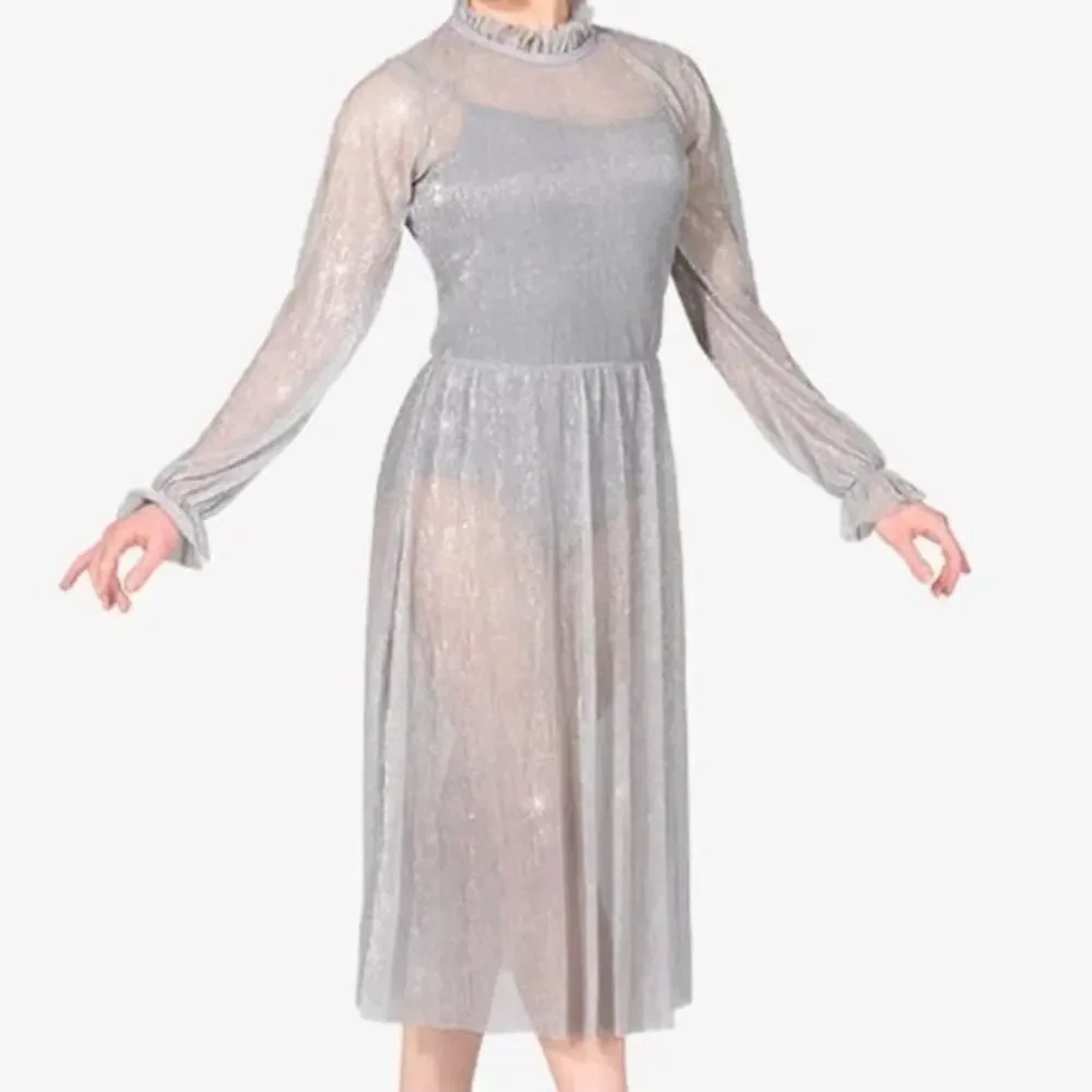 Double Platinum Silver Glitter sheer Mesh Long Sleeve Lyrical Dance Dress NWT
